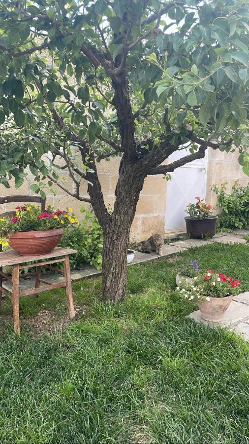 Bed and Breakfast Bio&B Acquaviva Otranto Zewnętrze zdjęcie